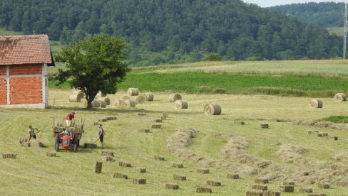 KONKURS MINISTARSTVA POLJOPRIVREDE: Sredstva za razvoj ruralne infrastrukture