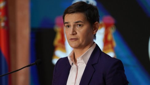 BRNABIĆ O GLASANJU U SAVETU EVROPE: Imali smo poslanike iz ove skupštine, koji su bili u Strazburu četiri dana, a za reč se nisu javili