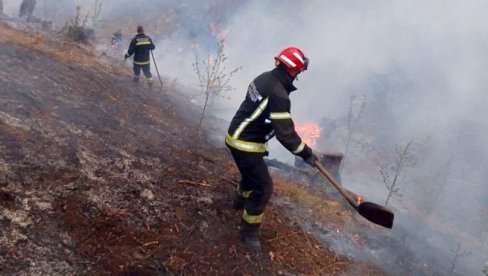 IZAZVAO VELIKI POŽAR: Somborac uhapšen zbog paljenja rastinja