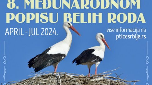 DA LI STE IH VIDELI?: Počinje Međunarodni popis belih roda, DZPPS poziva građane da učestvuju u prebrojavanju