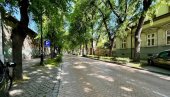 ZELENILA DOVOLJNO SAMO STATISTIČKI: Subotica znatno nadmašuje evropski prosek, ali sugrađani smatraju da su im malo 183 kvadrata po glavi
