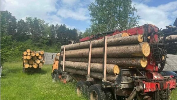 И ШУМАРИ СЕКУ БЕЗ ДОЗВОЛЕ: Јеловица, планина у околини Берана, под новим налетом шумокрадица