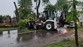 STABLA BLOKIRALA SAOBRAĆAJ: Olujno nevreme pogodilo Sombor