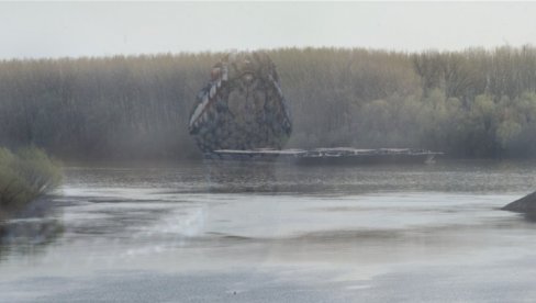 PANČEVAC I ANAKONDA: Zmija isplivala iz reke (FOTO)