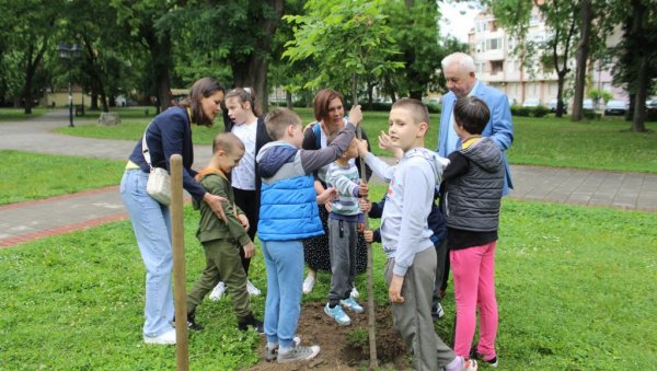 Mobilna aplikacija - ЗАСАЂЕНИ НОВИ БОЂОШИ:У Сомбору обележен Европски дан паркова