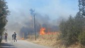 VATRENA BUKTINJA GUTA KUĆE: Dramatični snimci iz Grčke, vatrogasci se svim silama bore da ugase požar (VIDEO)