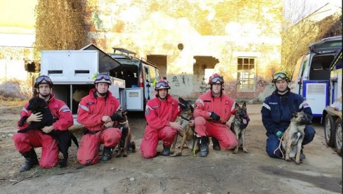 ЗИГИЈА ЋЕ НАСЛЕДИТИ ЗИТА: Сектор за ванредне ситуације МУП ускоро ће располагати са пет нових спасилачких паса (ФОТО)