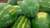 СТИГЛЕ ЛУБЕНИЦЕ ИЗ РЕГИОНА: Са пијачних тезги Бајлонија маме јагоде, а има и осталих врста воћа
