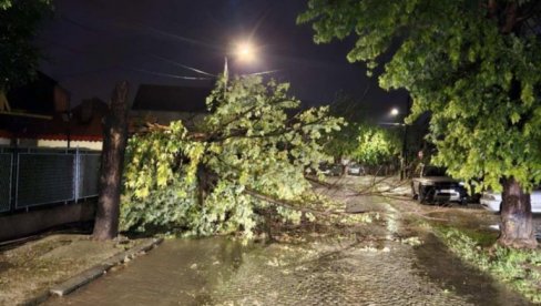 EKIPE I DALJE NA TERENU: Zelenilo interevenisalo na 693 lokacija u saniranju posledica nevremena