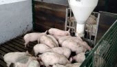 МЕТАЛНИ КОНТЕЈНЕР СА ЖИВОТИЊСКИМ ЛЕШЕВИМА ШОКИРАО ГРАЂАНЕ ШАПЦА: Министарство реаговало - инспекција хитно на терену
