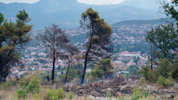 ЗГАРИШТЕ НА  ПЛУЋИМА ГРАДА: Пожар на Горици локализован, ватрогасци у приправности