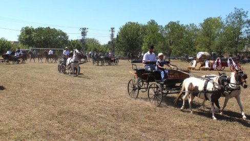 KONJI NAŠI RAZIGRANI ČUVAJU TRADICIJU: U Doroslovu kod Sombora održana fijakerijada