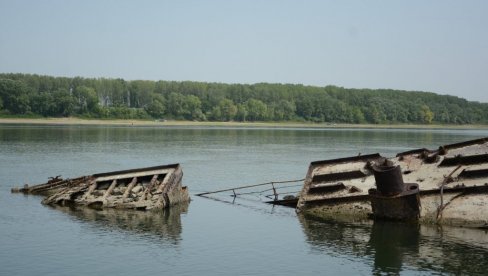 ДУНАВСКЕ АВЕТИ НАЈЗАД ИЗРАЊАЈУ: Почеле припреме за вађење прва четири од двадесетак бродова који деценијама ометају пловидбу Дунавом