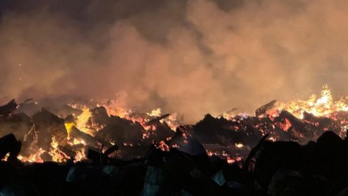 LOKALIZOVAN POŽAR U NOVOSADSKOM NASELJU KLISA: Vatra zahvatila suvu travu i rastinje (FOTO)