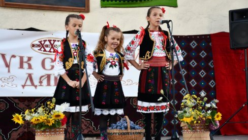 U SELU SIKOLE NEDALEKO OD NEGOTINA ODRŽANO 22. IZDANJE KULTURNO-UMETNIČKE MANIFESTACIJE ČUČUK STANINI DANI   Čuvari tradicije iz tri okruga