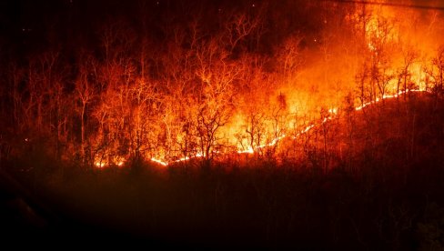 KRIMINALNA BANDA HARA BRAZILOM: Osumnjičena za podmetanje 2.100 požara na poljima šećerne trske