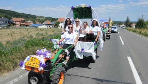 U SELU PROGORELICA, NEDALEKO OD KRALJEVA ODRŽAN TRADICIONALNI 10. SKUP VLASNIKA I LJUBITELJA MOTOKULTIVATORA   Odbegle mlade ulepšale frezu