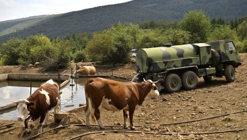 PRESUŠILE I CEVI I KORITA, LJUDIMA SU CISTERNE SPAS: Cela Srbija gori na plus 40, u više opština uvedena vanredna situacija