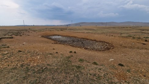 UGROŽENO STOČARSTVO NA PEŠTERI: Usled suše koja mesecima traje u selima na Pešterskoj visoravni stočari veoma zabrinuti (FOTO)