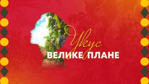 МАНИФЕСТАЦИЈА УКУСИ ВЕЛИКЕ ПЛАНЕ НАРЕДНОГ ВИКЕНДА: Гастрономски празник за госте у градском парку