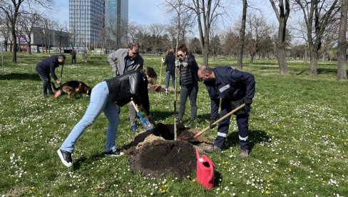 SRBIJI NEDOSTAJE 200 MILIONA STABALA: Više šuma smo posekli nego što smo posadili, pa sada nema šta da ublaži posledice klimatskih promena