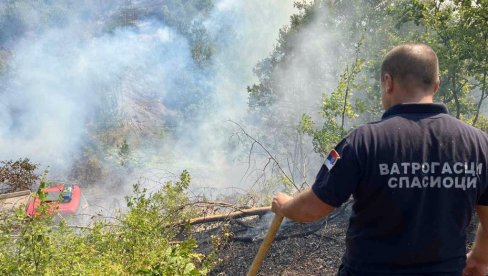 POŽAR KOD SUBOTICE: Gori šuma na Velikom Radanovcu