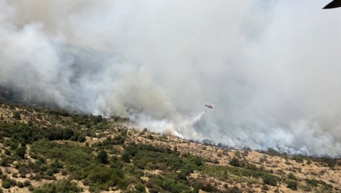 TRAGEDIJA U TURSKOJ: U gašenju šumskog požara poginulo 10 vatrogasaca, 14 povređenih