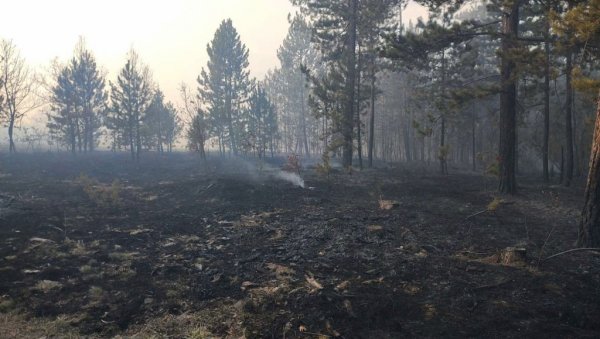 ОПУСТОШЕНО 170 ХЕКТАРА: Трећи дан букте пожари повише Ушћа и Богутовца у Ибарској клисури