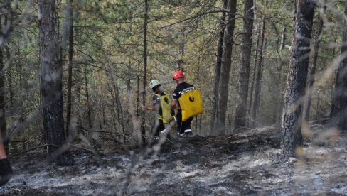 ЛОКАЛИЗОВАН ПОЖАР НА ЖАРАЧКОЈ ПЛАНИНИ   Ватрогасци дежурају изнад Ушћа