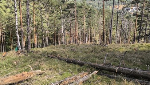 ЧОВЕК ПРОНАЂЕН МРТАВ У ШУМИ: Увиђај у току