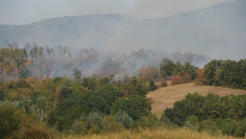 ДОМАЋИНСТВА НИСУ УГРОЖЕНА: Пожар у селу Петропоље код Краљева (ФОТО)