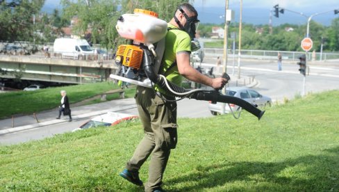 УНИШТАВАЊЕ КРПЕЉА: Акција на парковским површинама у Краљеву