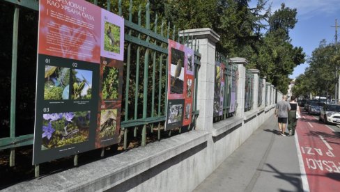 ULAZ BESPLATAN POPODNE: Performans u Botaničkoj bašti na zatvaranju ovogodišnjeg festivala