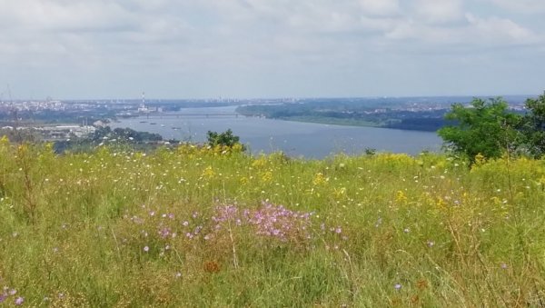 ГЛИНАРА ПОСТАЈЕ ЗАШТИћЕНО СТАНИШТЕ: Предлог Секретаријата за заштиту животне средине пред одборницима