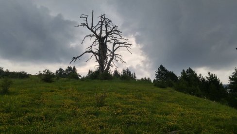 U CELOM SELU SEDAM ŽITELJA: U Biskupićima kod Prijepolja najmlađi stanovnik ima 62 godine, i okolna mesta pusta