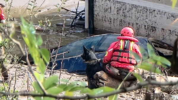 И ОНА ПОМАЖЕ У ПОТРАЗИ ЗА ПРЕЖИВЕЛИМА: Зара може да замени и до 30 спасилаца (ФОТО)