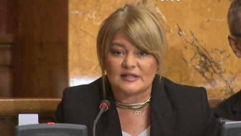 ОГОЉЕНЕ НАМЕРЕ НАТО ОПОЗИЦИЈЕ: Она би да уводи санкције Русији и прекине односе са Кином