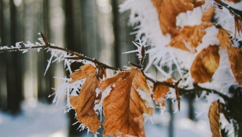 RHMZ IZDAO ŽUTI METEOALARM: Vremenska prognoza za ponedeljak, 20. oktobar RHMZ IZDAO ŽUTI METEOALARM: Vremenska prognoza za ponedeljak, 20. oktobar
