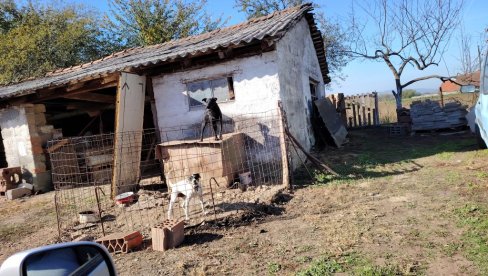 ТУГА У ЛОЗНИЦИ ПОСЛЕ ТРАГЕДИЈЕ У НОВОМ САДУ: Сви жале Тину и Сару - Комшилук и сродници обожавали сестре које су погинуле на Железничкој