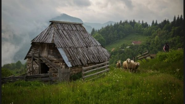 ИЗАБРАНЕ НАЈЛЕПШЕ ФОТОГРАФИЈЕ ТАРЕ: Трагом заборављених чобана