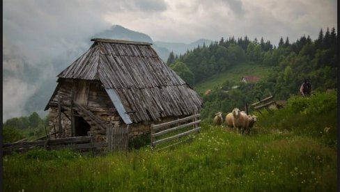 IZABRANE NAJLEPŠE FOTOGRAFIJE TARE: Tragom zaboravljenih čobana