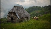 IZABRANE NAJLEPŠE FOTOGRAFIJE TARE: Tragom zaboravljenih čobana