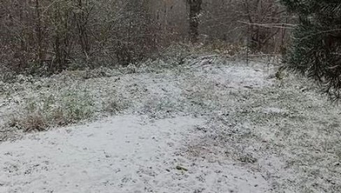 ПРВИ СНЕГ ПАО НА ВЛАСИНИ: Забелео се и југ Србије (ФОТО)