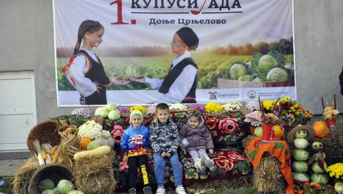 U ČAST SEMBERSKOG KUPUSA: U Donjem Crnjelovu kod Bijeljine organizovana Prva kupusijada u ovom kraju