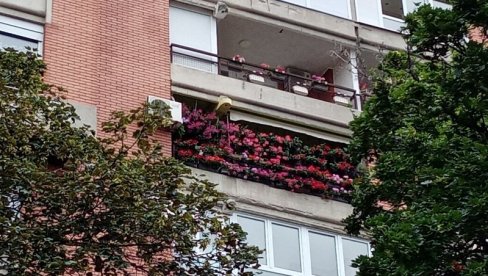 ИЗБОР У СЕДАМ КАТЕГОРИЈА: Почела акција За зеленији Београд