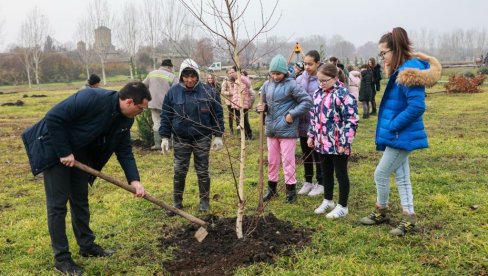 ZASAĐENO 250 SADNICA U PARKU: Akcija sadnje u Ruskom Selu kod Kikinde