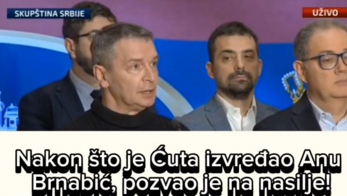 ЋУТА ИЗВРЕЂАО АНУ БРНАБИЋ, ПА ПОЗВАО НА НАСИЉЕ: Пошто немамо већину, идемо на улицу! (ВИДЕО)