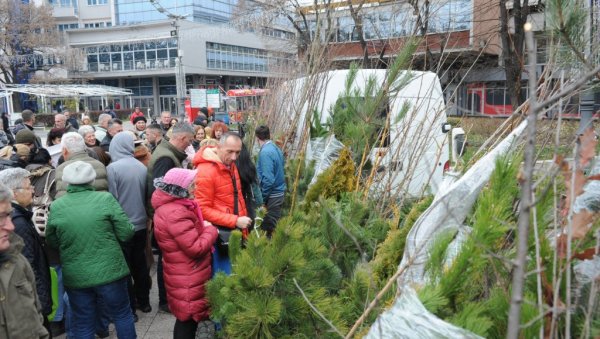 ПОДЕЉЕНО 514 САДНИЦА: Акција Одсека за заштиту животне средине ГУ у Краљеву