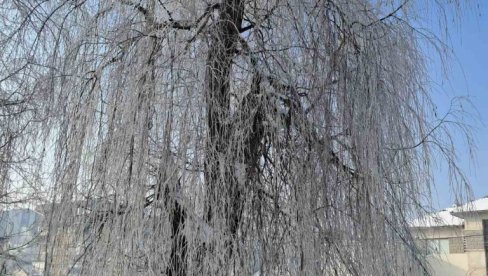 OD SIVILA I KIŠE DO 20 STEPENI, PA OŠTAR REZ SA SNEGOM: Padaće i u Beogradu - šok prognoza za ovu nedelju