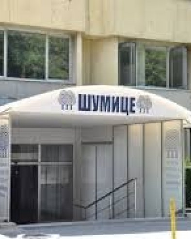 ШКОЛИЦА ЕНГЛЕСКОГ ЗА ОСНОВЦЕ: Бесплатан програм за најмлађе Вождовчане